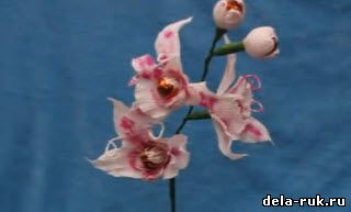 Орхидея из конфет видео