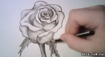 Учимся рисовать розу видео урок