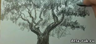 Учимся рисовать деревья видео урок