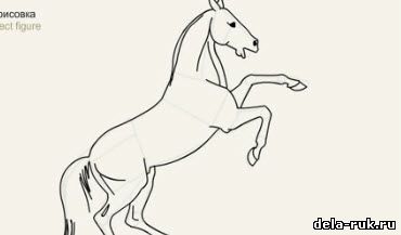  Видео как рисовать лошадь видео урок