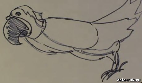 Как рисовать попугая карандашом видео урок