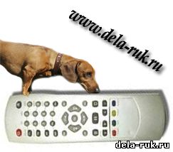 Как найти пульт от телевизора 
своими руками или такса ищет пульт дома dela-ru.ru