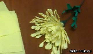 Игольчатые хризантемы своими руками видео