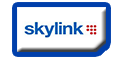 Бесплатная отправка смс на skylink